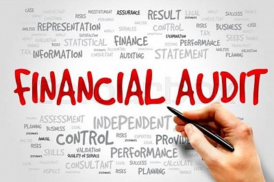 Financial Audit